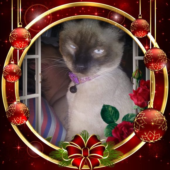 Meet your Posher, Laurie - Picture 1 of 1